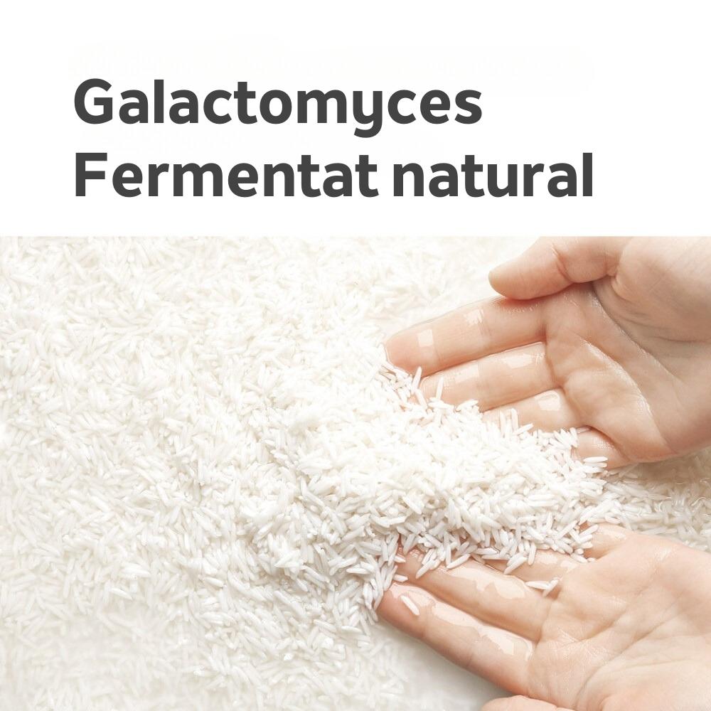 Galactomy Essence Mist 120 ml